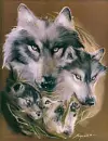 wolves