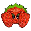 Sparkle Strawberry Neopet