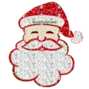 Glitter Santa Clause Face