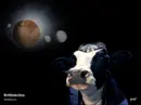 The Supreme One