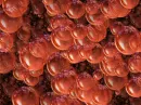 red bubbles