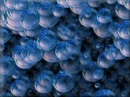 blue bubbles