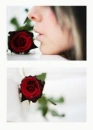 a certian romance