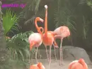 fun at the zoo
