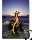 mermaid swimming