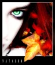 eyes