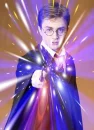 harry potter phoenix