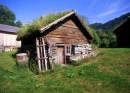 Nature/House