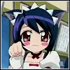 cutie cat