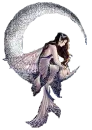 fairy moon-dudusoarahi5