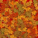 fall