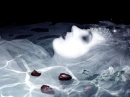dead girl