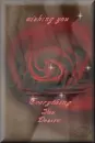 red rose