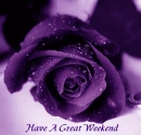 purple rose