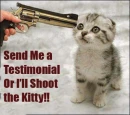 Testimonial or Kitty?