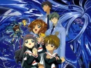 Sakura,Shiaoran,Tomoyo,Yukyto,Touya,Kero