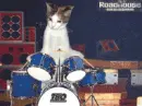 freddie drums