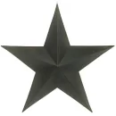 metaltexasstar