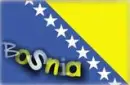 Bosnian Flag