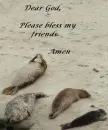 Seal praying
