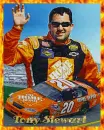 Tony Stewart, #20