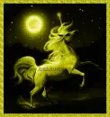 Unicorn Fantasy