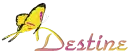 Destine