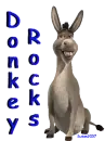 Donkey