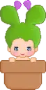 pixi in a pot