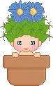 pixi in a pot