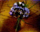 flowers on a table 