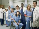 greys anatomy