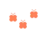 butterflys
