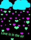 love is in the air