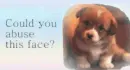 animal abuse
