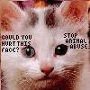 animal abuse