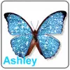 Ashley Butterfly Icon 