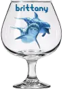 Dolphin's  behind glass, Brittany