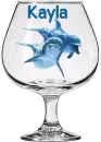 Dolphin's  behind glass, Kayla