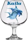 Dolphin's behind glass for Kaila
