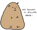 my hamster