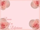 Pink Roses