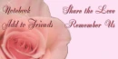Pink Roses