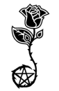 HIM ROSE