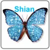 Shian Butterfly Icon 
