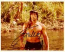 rambo