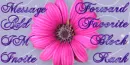 Pink Flower