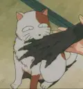Buuyo