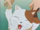 Buuyo