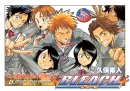 bleach